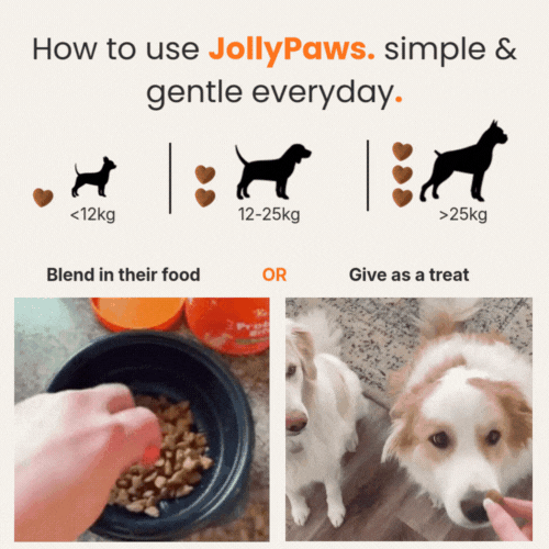 JollyPaws Anti-Itch Probiotic chews